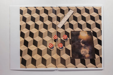 Roe Ethridge Zine 321