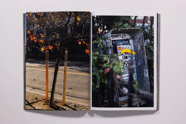 Flatlands II Zine Mark Murrmann