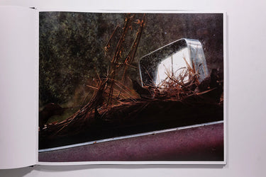 Phil Jung, Windscreen