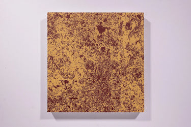 And Time Folds Vanessa Winship