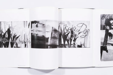 Flamingo - Robert Frank (9)