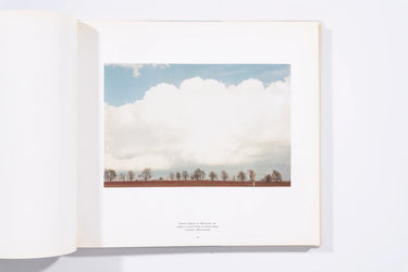 The Democratic Forest - William Eggleston (8+)