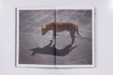 Cristina de Middel - Journey to the Center