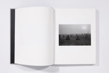 The Seraphim - Jesse Lenz