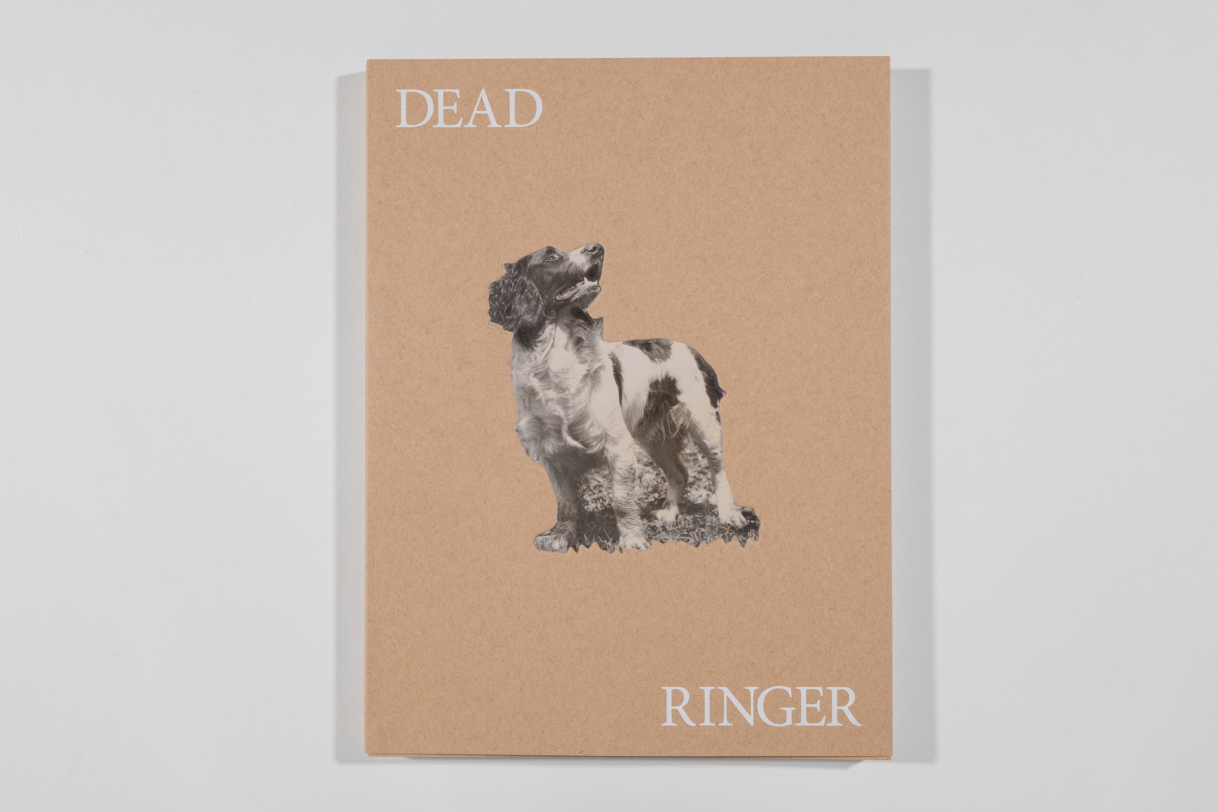 Dead Ringer - Yael Eban and Matthew Gamber