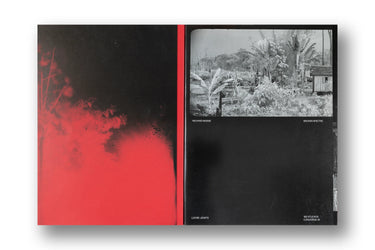 Richard Mosse, Broken Spectre