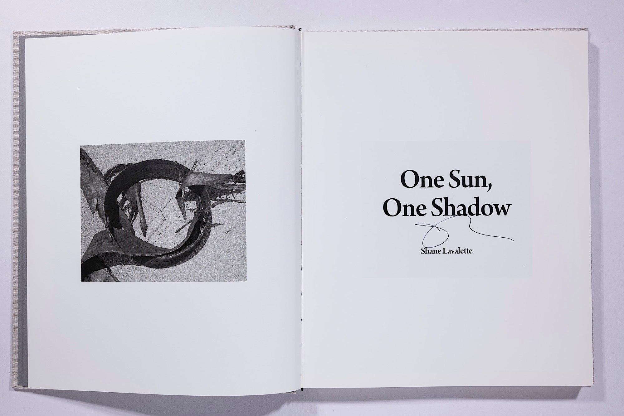 Shane Lavalette - One Sun, One Shadow