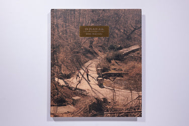 Irina Rosovsky - In Plain Air