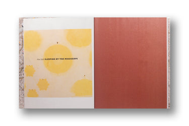 Alec Soth Gathered Leaves Annotated