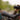 Leica Sport Optics