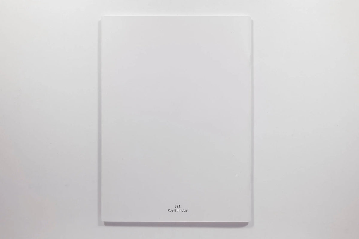 Roe Ethridge Zine 321