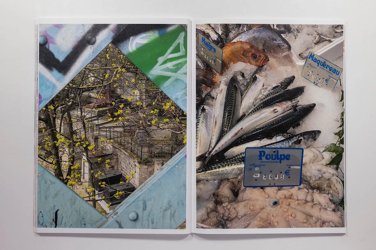Roe Ethridge Zine 321
