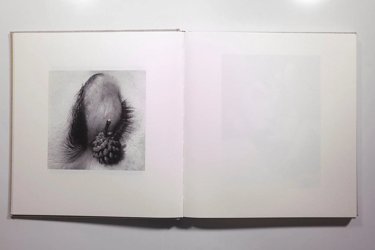 Jack Davison - Photographs