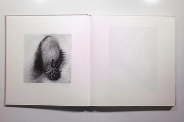 Jack Davison - Photographs