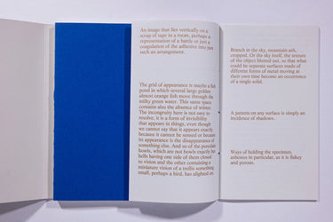 Felicia Honkasalo - Grey Cobalt