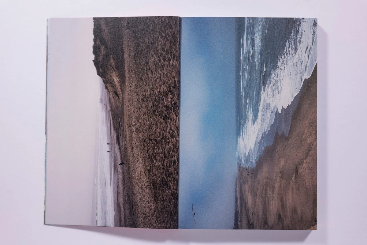 San Francisco Dream