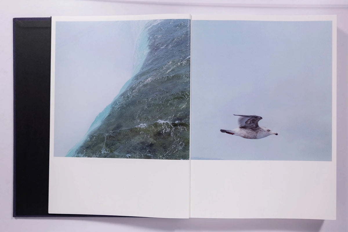 Rinko Kawauchi: Illuminance