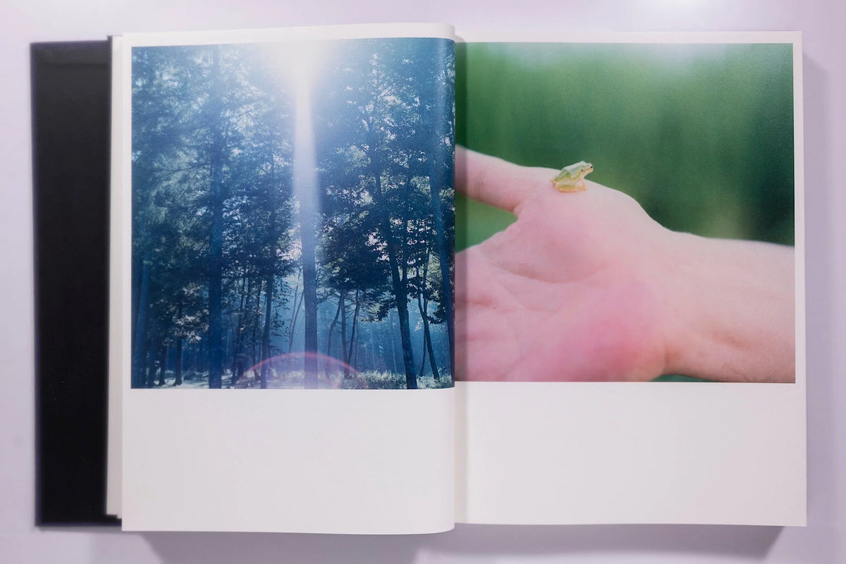 Rinko Kawauchi: Illuminance
