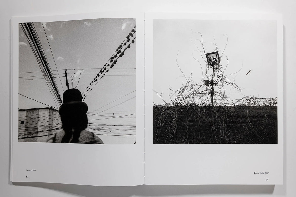 Graciela Iturbide: Heliotropo 37