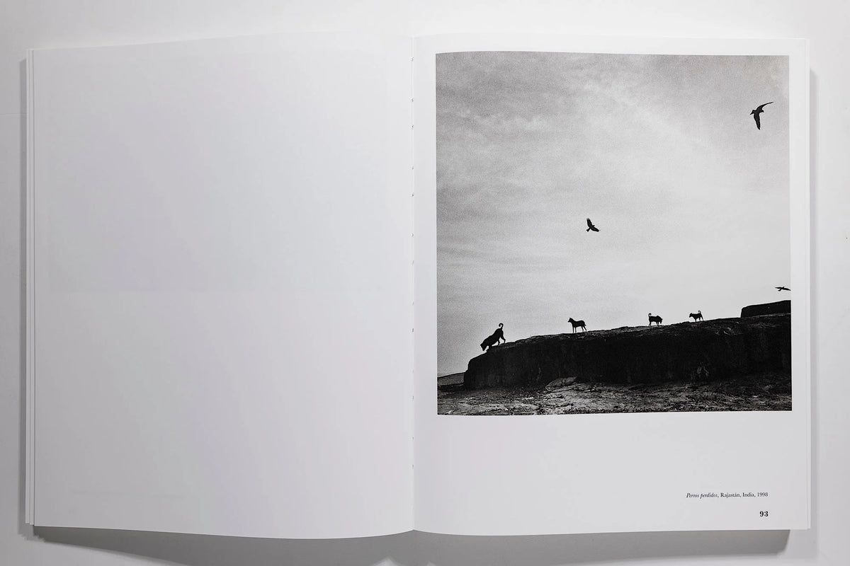Graciela Iturbide: Heliotropo 37