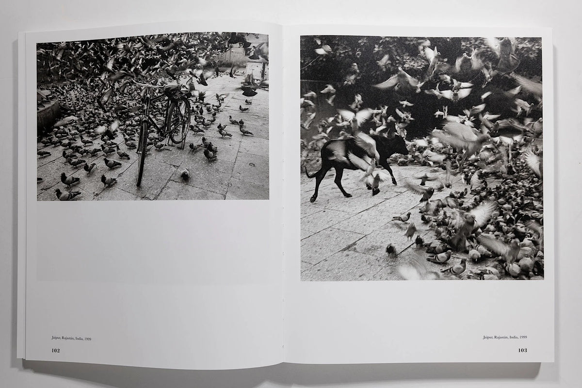 Graciela Iturbide: Heliotropo 37