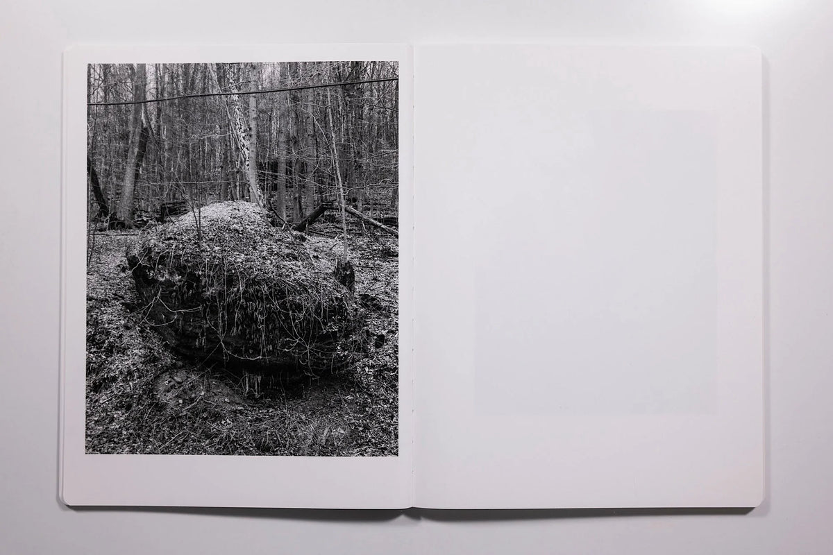 Vanessa Winship, Snow