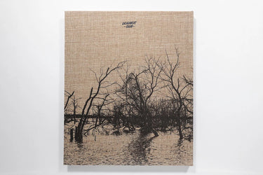 Ian Bates, Meadowlark