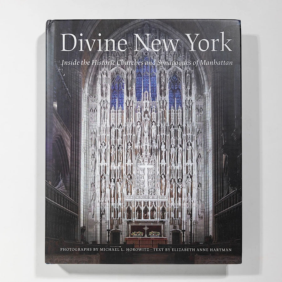 Divine New York - Michael Horowitz