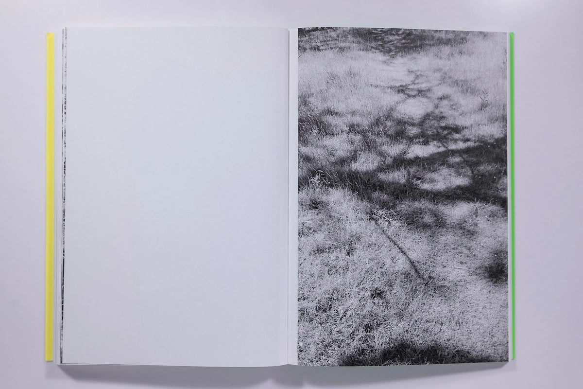 Sam Contis, Overpass