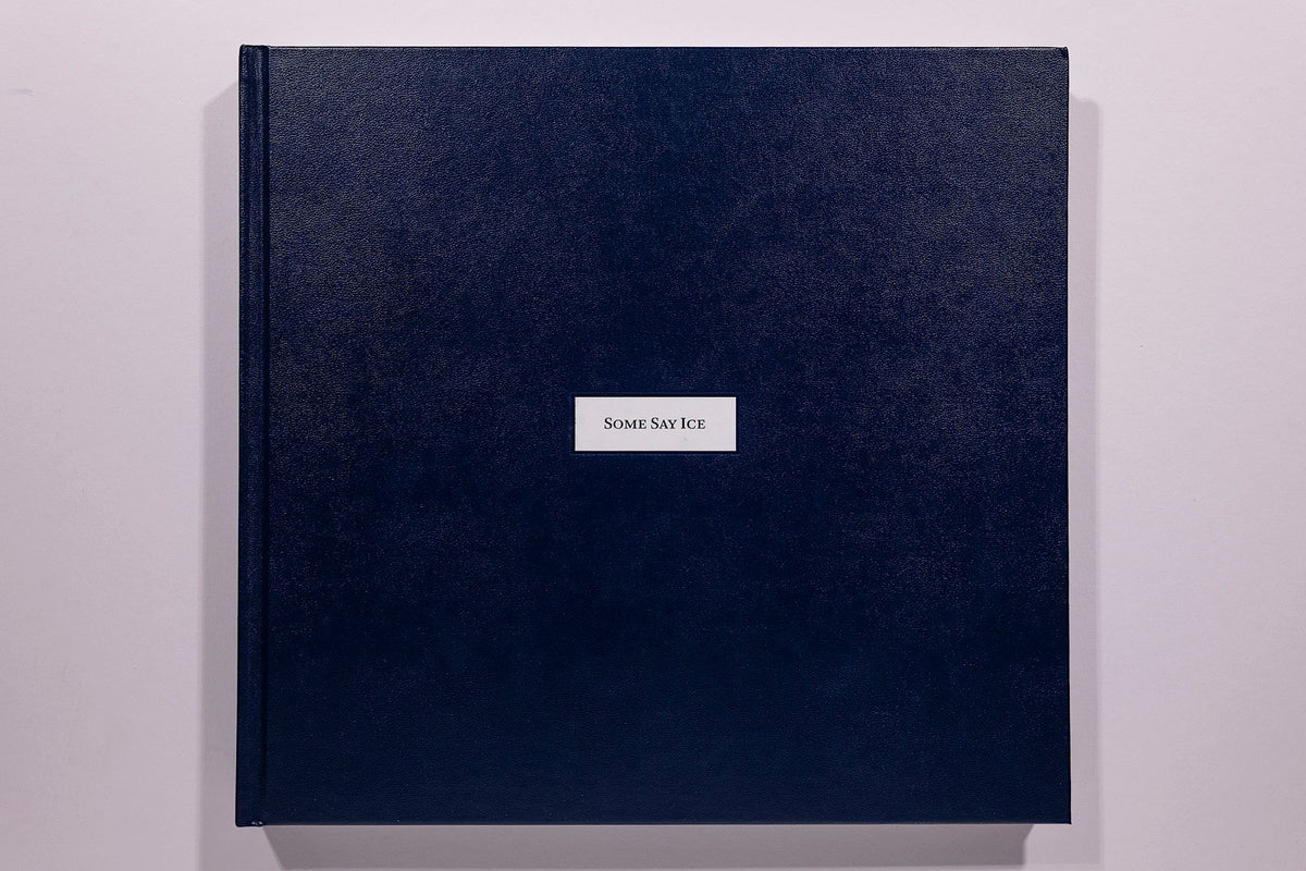 Alessandra Sanguinetti, Some Say Ice, Unsigned