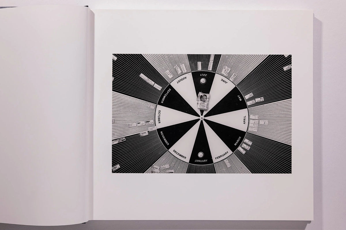 Alessandra Sanguinetti, Some Say Ice, Unsigned