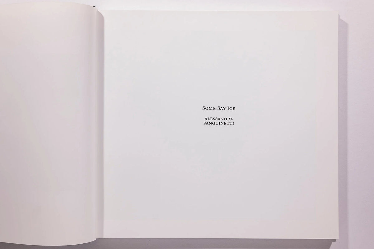 Alessandra Sanguinetti, Some Say Ice, Unsigned