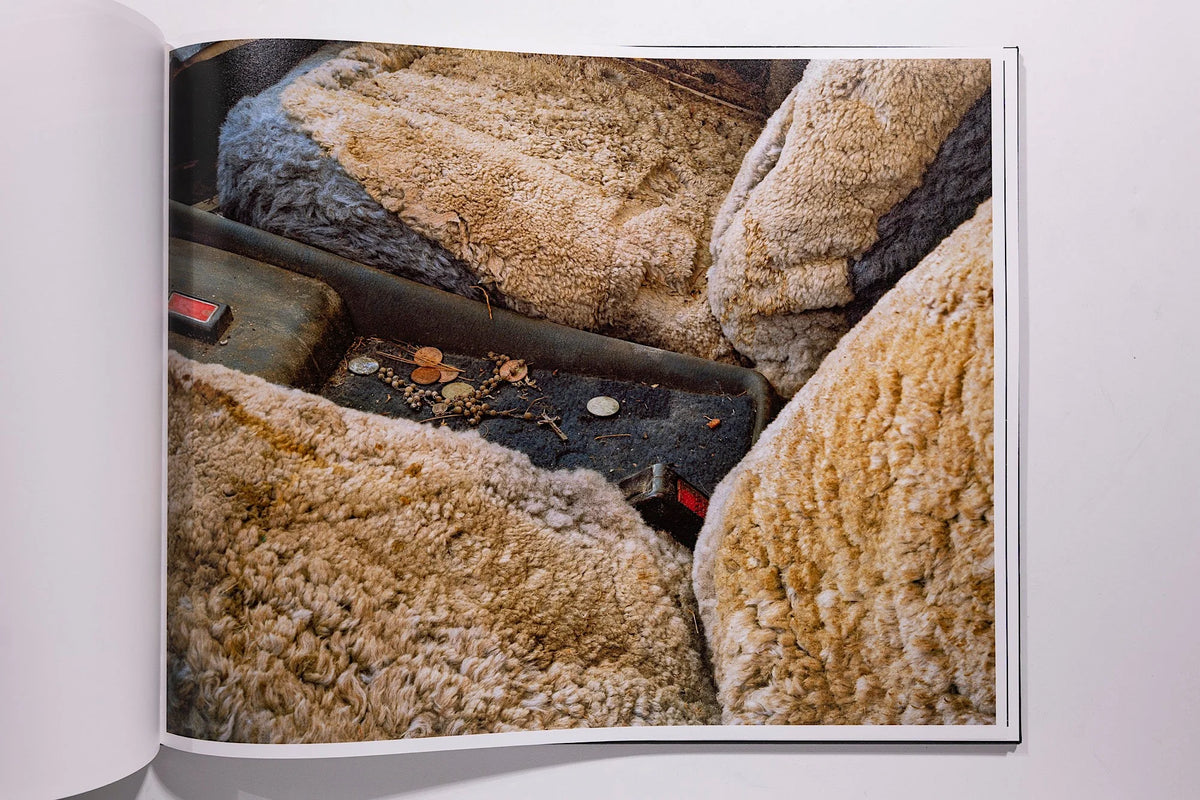 Phil Jung, Windscreen