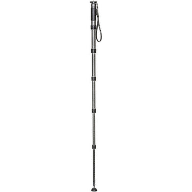 Gitzo GM4562 Monopod