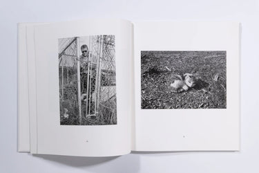 Mark Steinmetz South Central