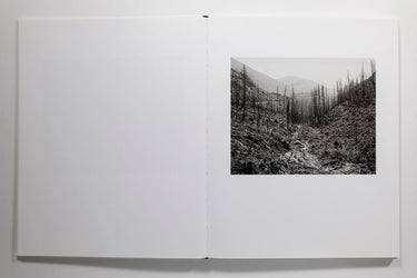 Landfall Mimi Plumb