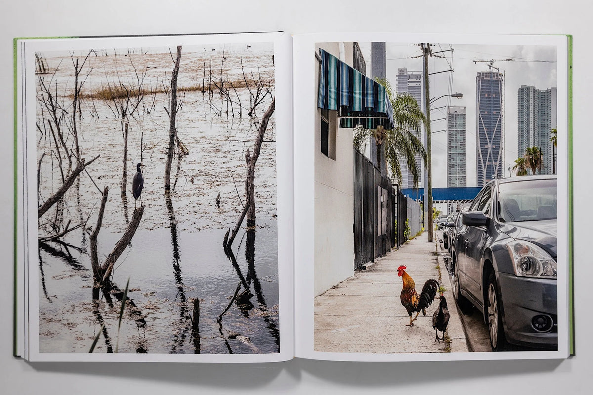 Anastasia Samoylova: Floodzone