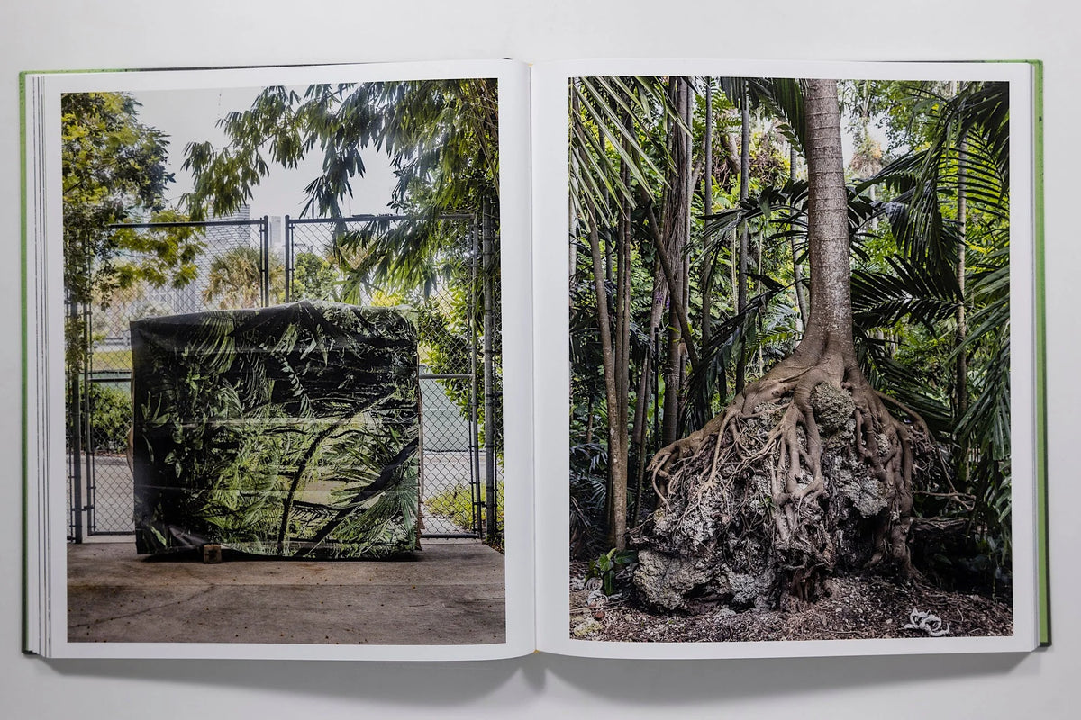Anastasia Samoylova: Floodzone