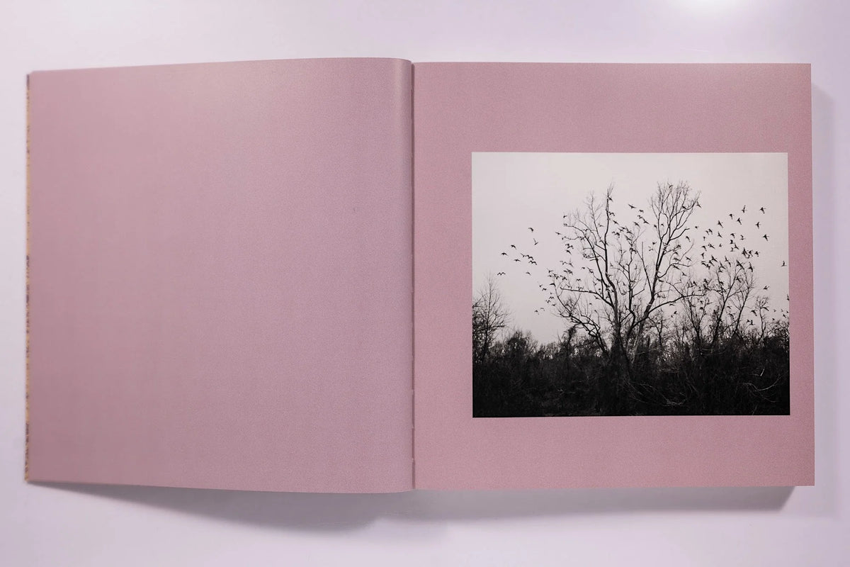 And Time Folds Vanessa Winship