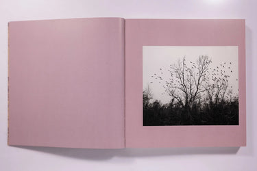 And Time Folds Vanessa Winship