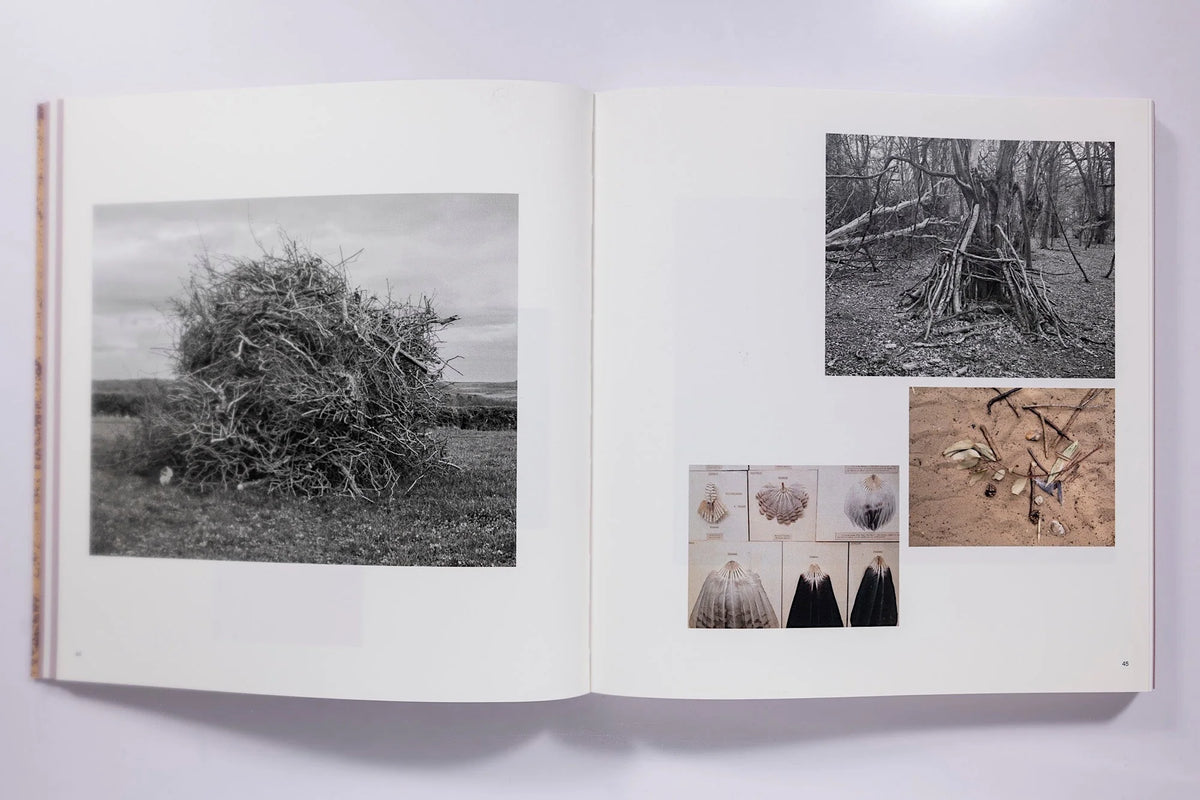 And Time Folds Vanessa Winship