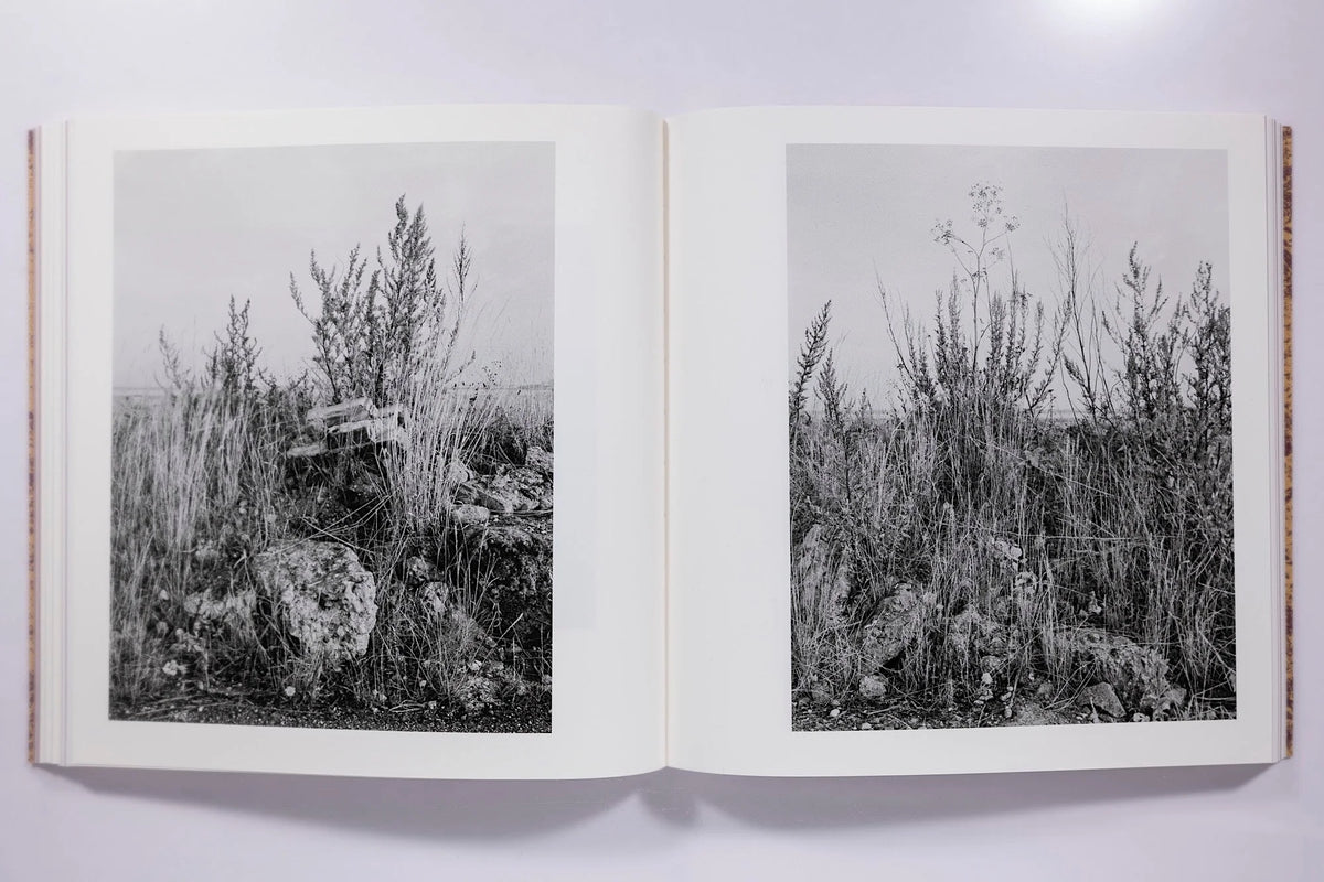 And Time Folds Vanessa Winship