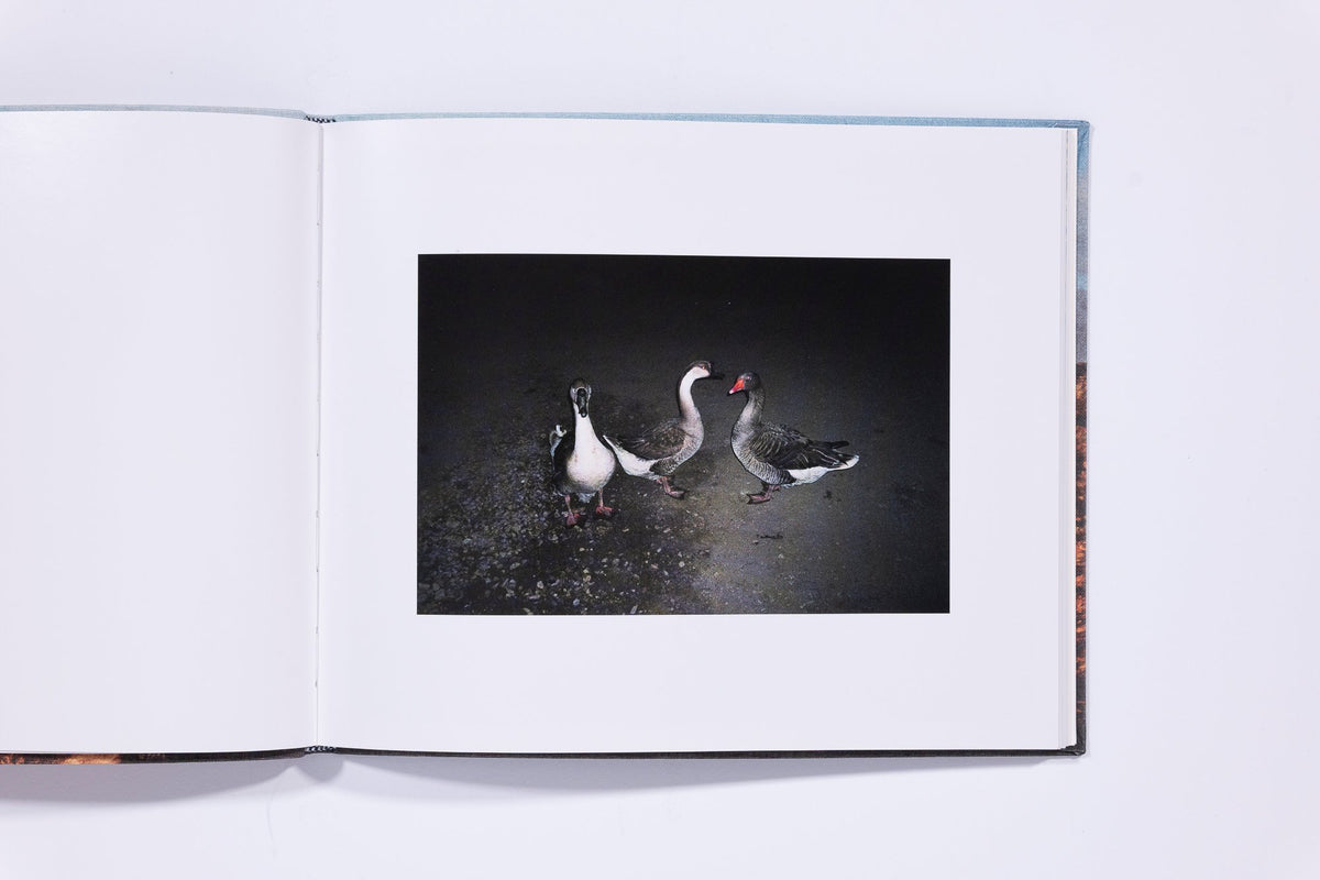 Animals That Saw Me (Volume 2) - Ed Panar — photo 2