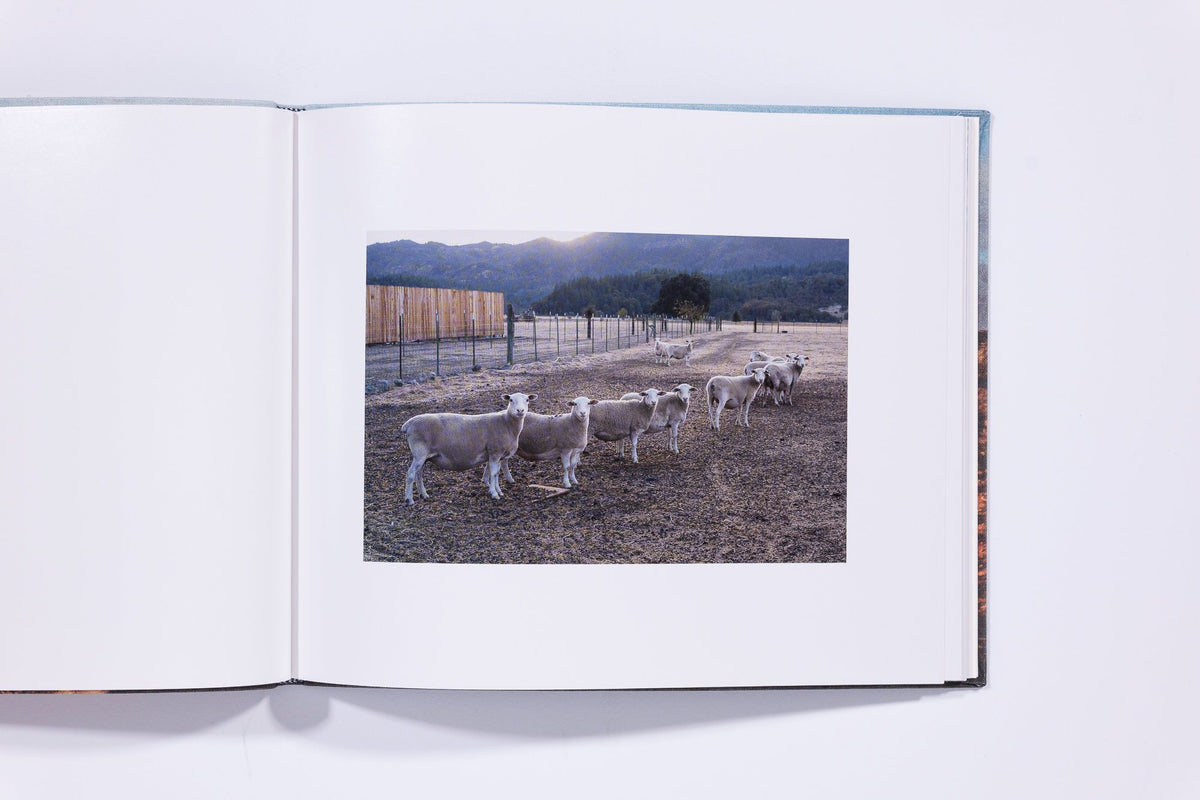Animals That Saw Me (Volume 2) - Ed Panar — photo 4