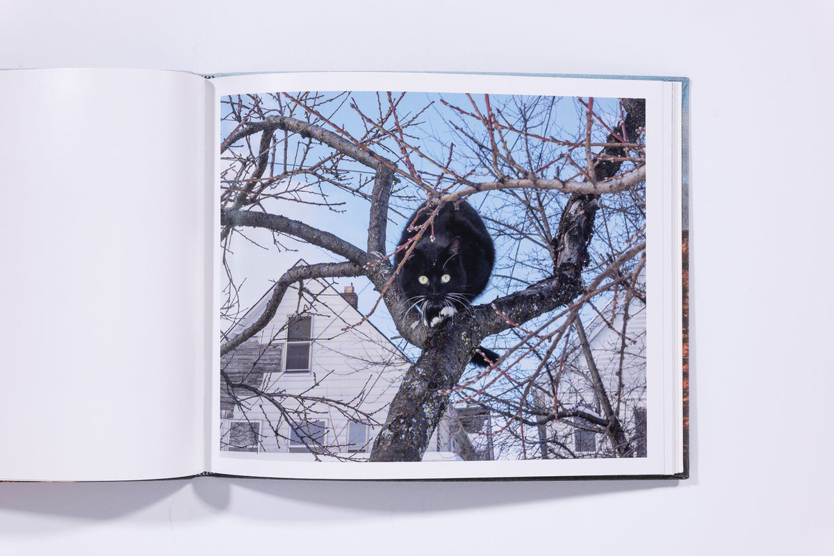 Animals That Saw Me (Volume 2) - Ed Panar — photo 5