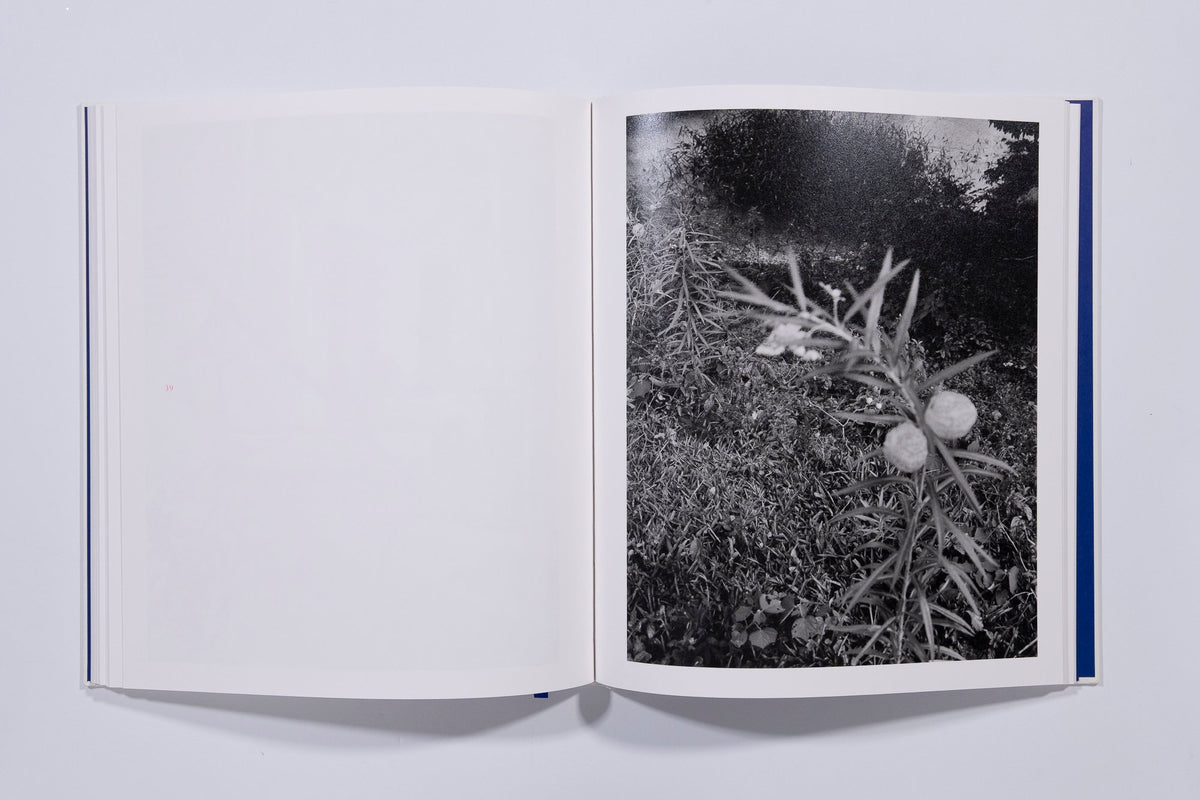 Mango Season - Jenia Fridlyand — photo 8