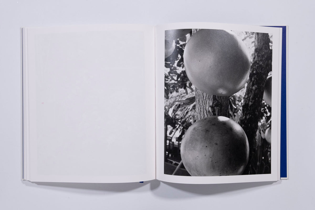 Mango Season - Jenia Fridlyand — photo 10