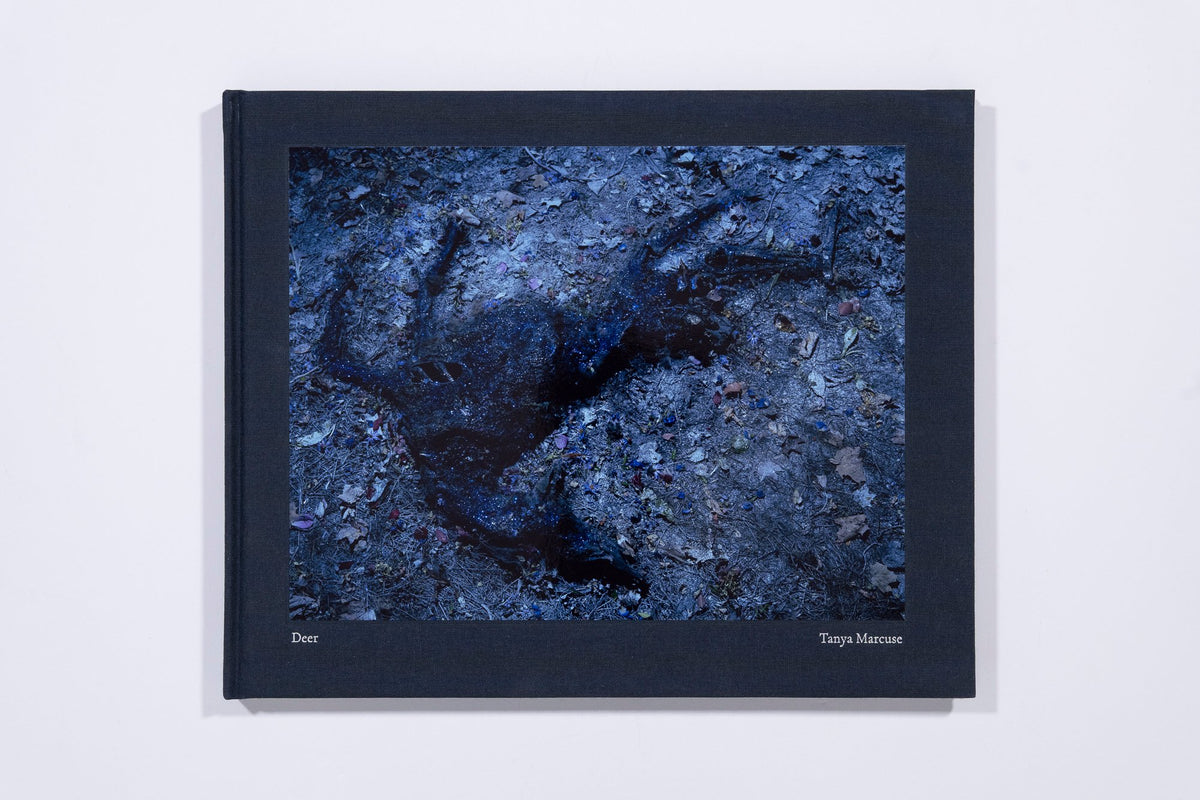 Deer - Tanya Marcuse — photo 1