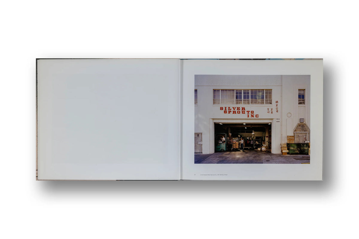 Janet Delaney - South of Market