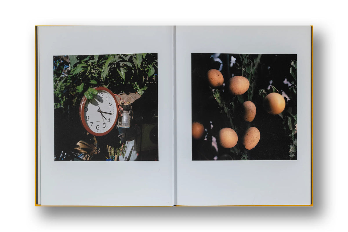 Jason Fulford - Picture Summer on Kodak Film